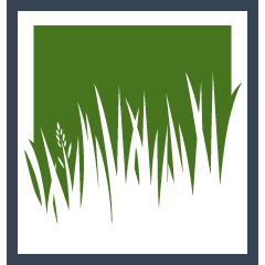 Zoysia Grass Installation Pros