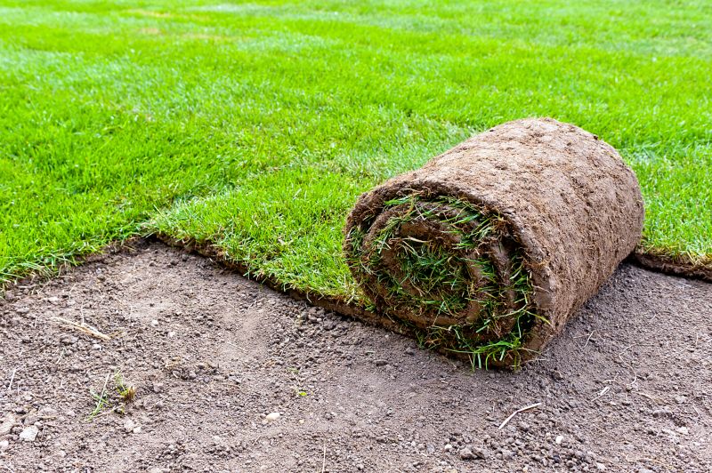 Bermuda Grass Installation in Ventura County, CA