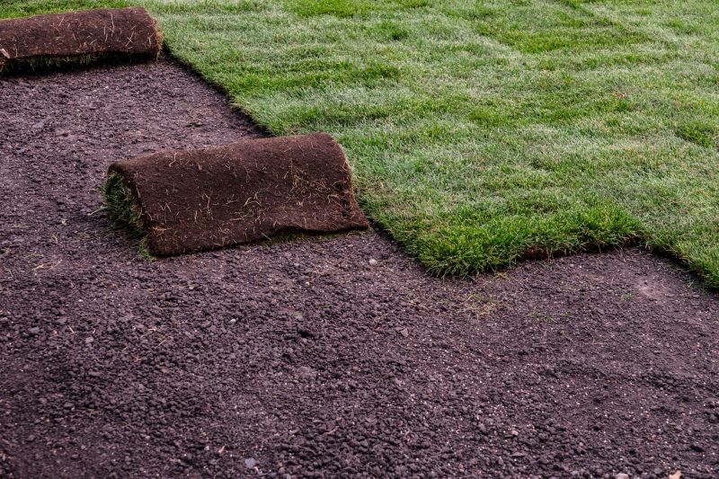 Sod Installation in Honolulu, HI