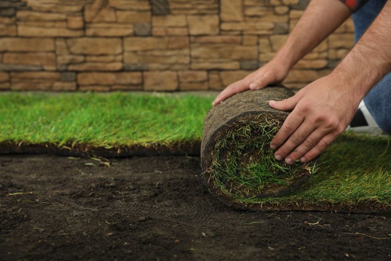 Sod Landscaping in Ventura County, CA