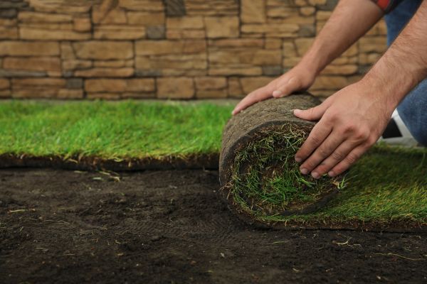 Lawn Replacement