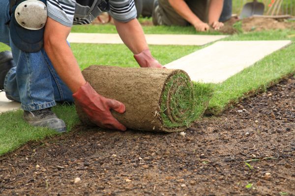 Bermuda Grass Installation