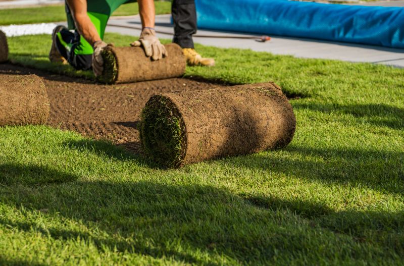 Zoysia Grass Installation