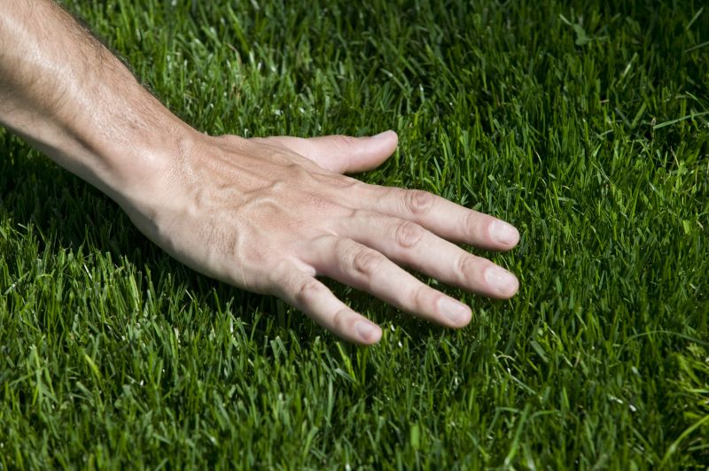 Bermuda Grass Installation in Aiken, SC