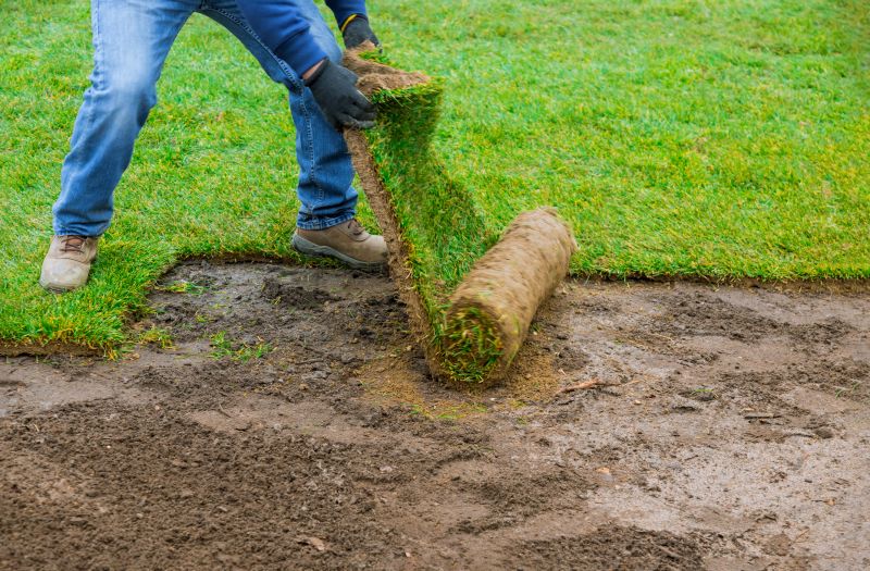 Bluegrass Sod Installation in Ventura County, CA