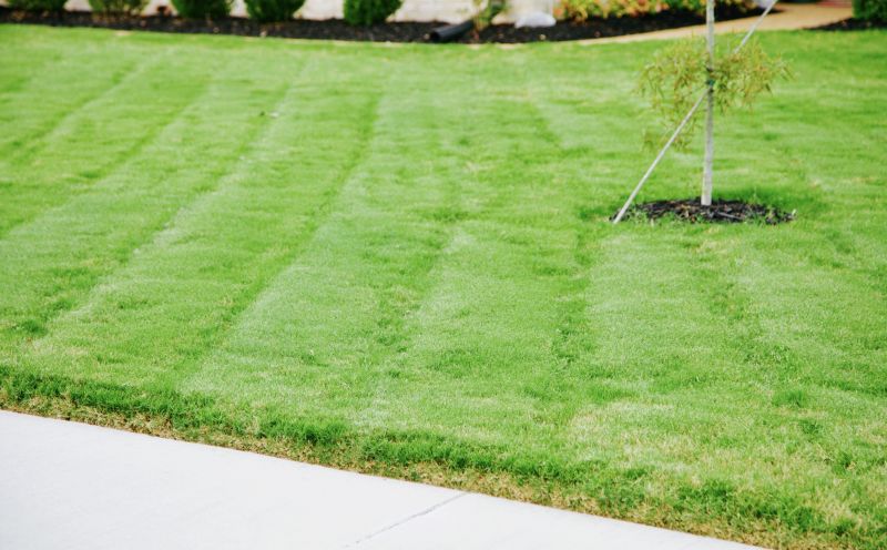 Bluegrass Sod Installation in Rockwall, TX
