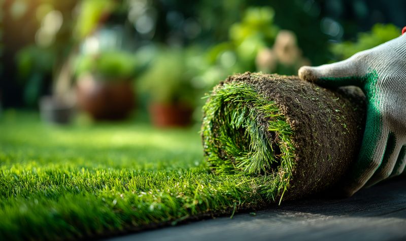 Commercial Sod Installation in Honolulu, HI