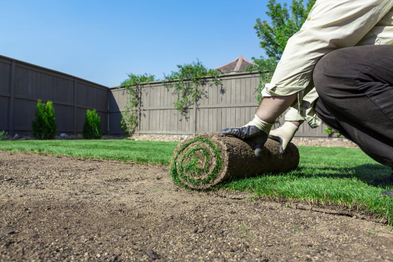 Fescue Sod Installation in Rockwall, TX