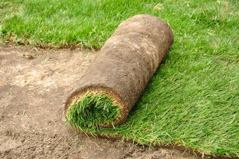Fescue Sod Installation in Ventura County, CA