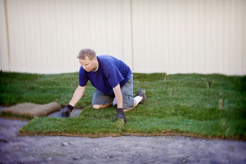 Grass Replacement in Honolulu, HI