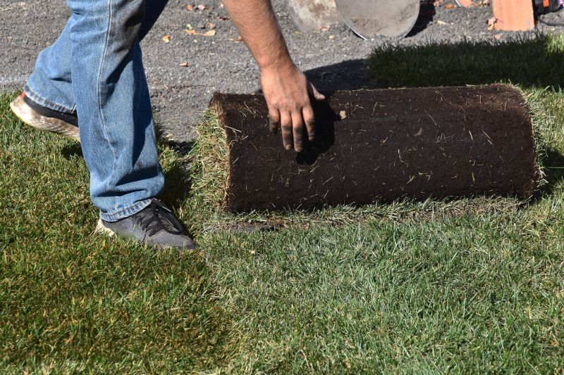 Grass Replacement in Aiken, SC