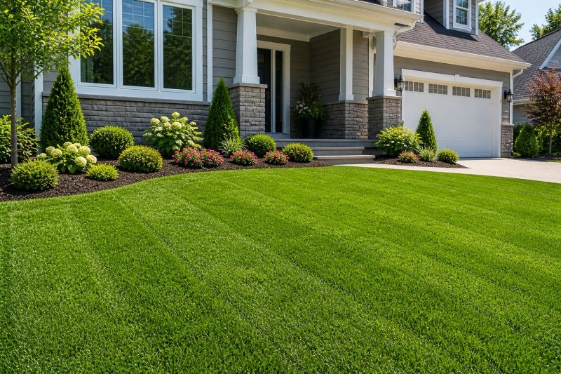 Lawn Installation in Honolulu, HI