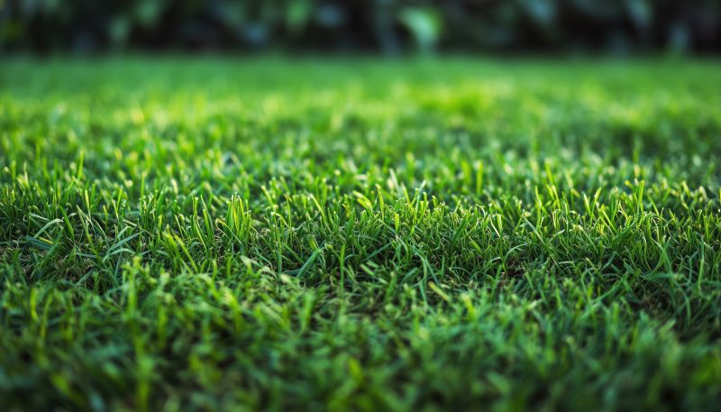 Lawn Installation in Honolulu, HI