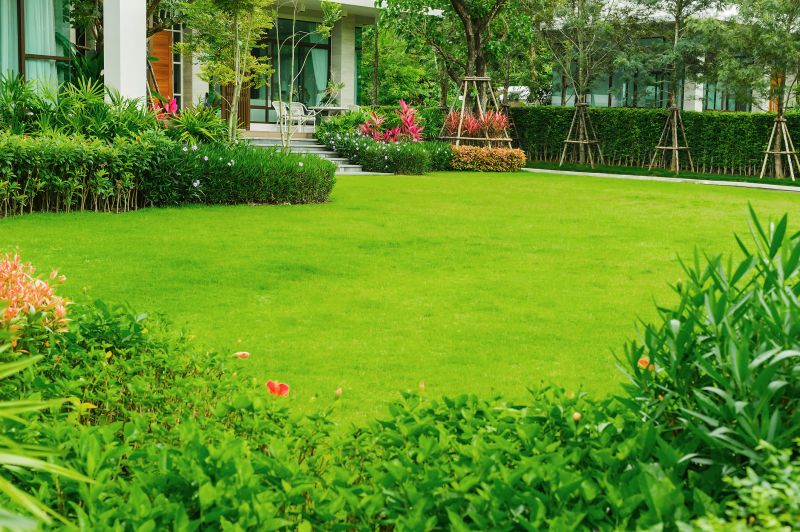 Lawn Replacement in Honolulu, HI