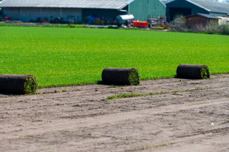 Ryegrass Sod Installation in Aiken, SC