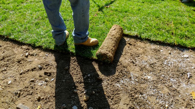 Sod Installation in Aiken, SC