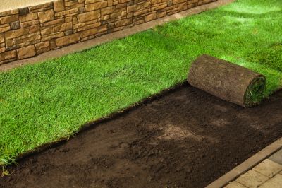 Sod Landscaping in Honolulu, HI