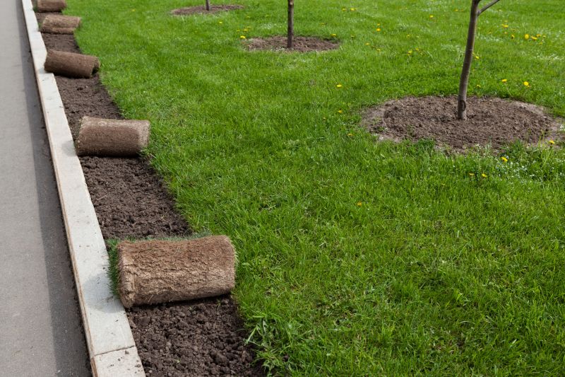Sod Landscaping in Ventura County, CA