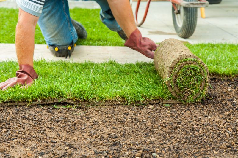 Sod Landscaping in Rockwall, TX