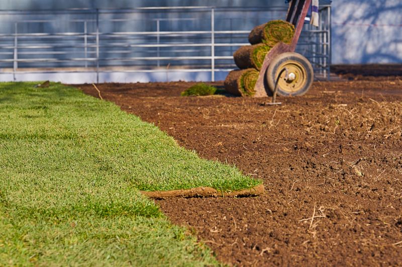 Yard Sod Installation in Honolulu, HI